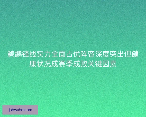 鹈鹕锋线实力全面占优阵容深度突出但健康状况成赛季成败关键因素